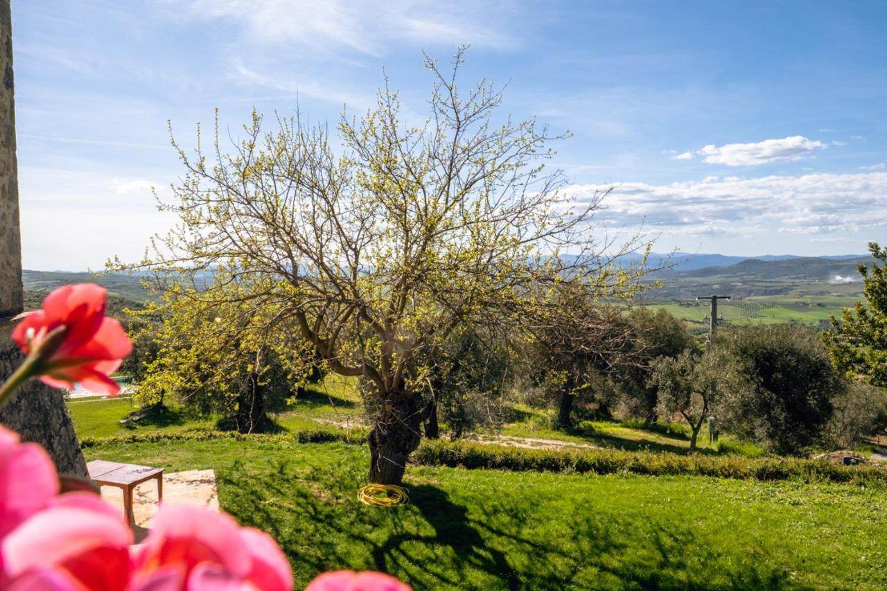 Podere Montale Il Borgo Seggiano Exterior foto